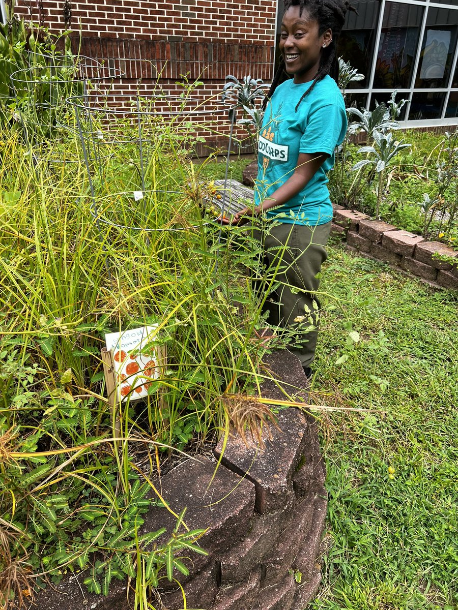 DePaula Woods (@woods_pfesela) on Twitter photo Weβre ready to GROW! Peyton Forest is so excited to partner with the Wylde Center and Food Corps to provide science education to our little π― and bring our πͺ΄ Garden to life <a href="/APSPeytonForest/">APSPeyton Forest</a> <a href="/PruittQuentina/">Dr. Quentina Pruitt</a> <a href="/EFLULeads/">πΌπ£ππππ π½ππ¦πππππ</a> Weβre ready to GROW! Peyton Forest is so excited to partner with the Wylde Center and Food Corps to provide science education to our little π― and bring our πͺ΄ Garden to life <a href="/APSPeytonForest/">APSPeyton Forest</a> <a href="/PruittQuentina/">Dr. Quentina Pruitt</a> <a href="/EFLULeads/">πΌπ£ππππ π½ππ¦πππππ</a>