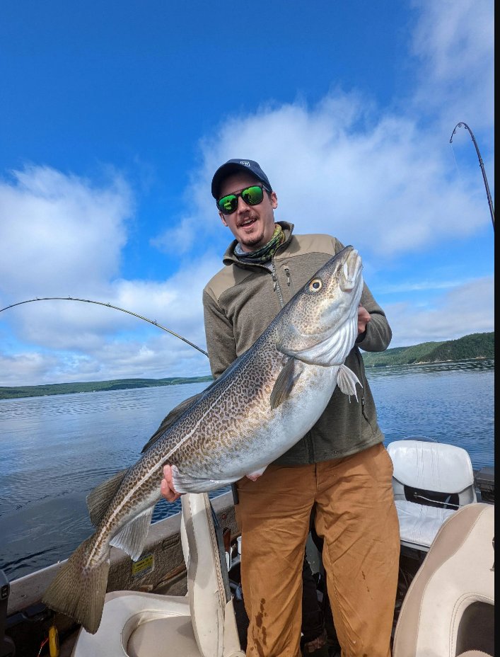 fishing_hull's tweet photo. Newfoundland Cod - Gotta love the East coast

 #fishinglifestyle #fishingpole #FishingApparel  #fishingguide #fishinglife #fishingtrip
 #fishingislife https://t.co/XtjvCzq9XA