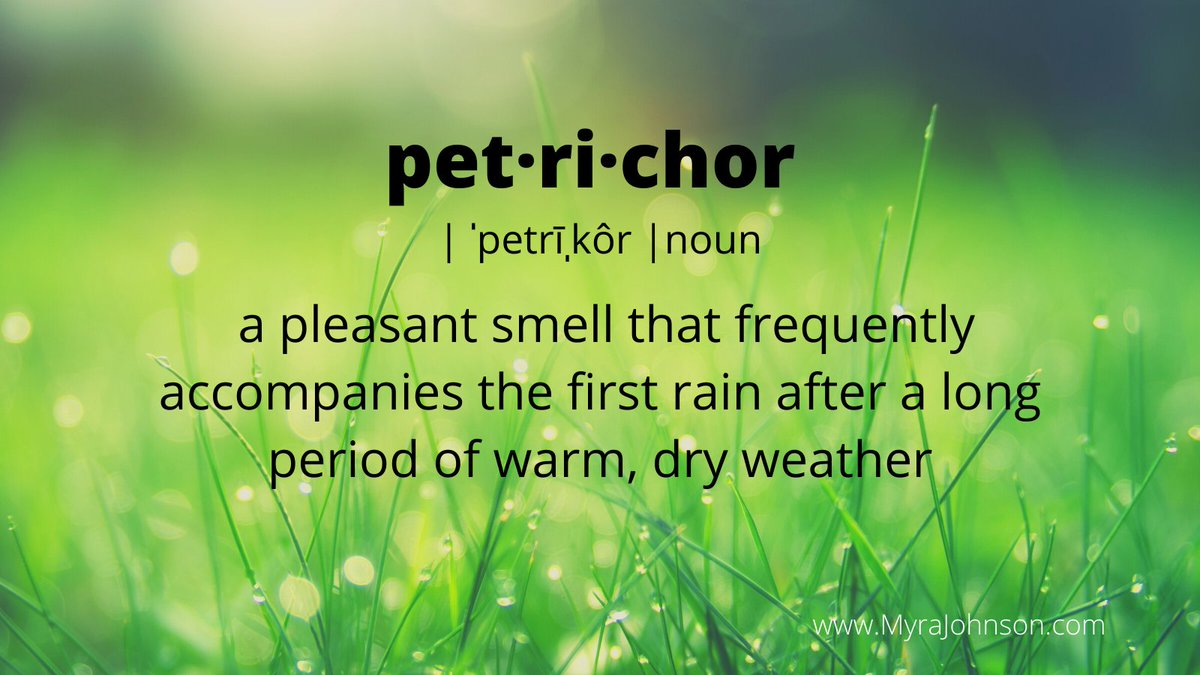 MyraJohnson's tweet photo. Petrichor is my new favorite word! Especially today, our first rain in too many weeks to recall! https://t.co/dPc6CRLGAj