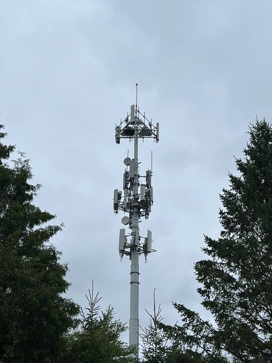 MstarBenJohnson's tweet photo. If you squint, you can see the osprey perched atop this cell tower where it made its nest. #NatureFTW https://t.co/YciB8MRznj