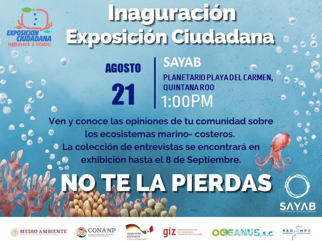 Playa Del Carmen 🌊 (@playaenmano) on Twitter photo No te pierdas la inauguración de exposición ciudadana en #tuplanetarioSAYAB <a href="/PlanetarioPlaya/">Planetario Playa</a> 21 agosto 1pm #PlayaDelCarmen No te pierdas la inauguración de exposición ciudadana en #tuplanetarioSAYAB <a href="/PlanetarioPlaya/">Planetario Playa</a> 21 agosto 1pm #PlayaDelCarmen