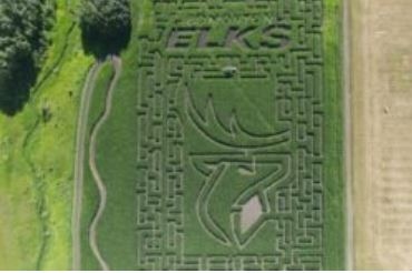 SarahSear2's tweet photo. From corn mazes to Theatre to sports events! Here are some ideas of what you can do this weekend! 

https://t.co/Ai4s6o1Ynu 

#golikeschmidt #yegre #edmonton #events #family #sports #realestate #buyer #seller #maze #theatre https://t.co/QeA0vSV5bn