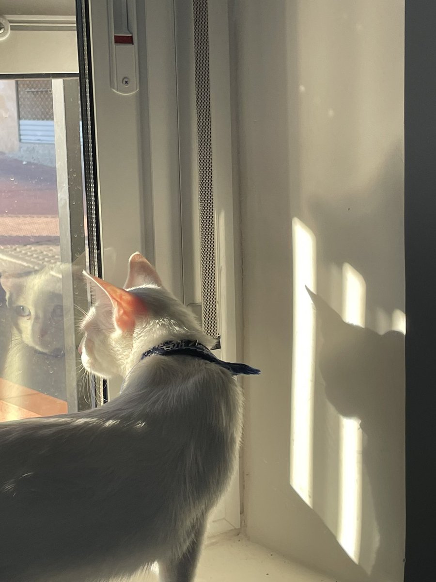 a veces una chica solo necesita hacerse unas creps con su amiga <3