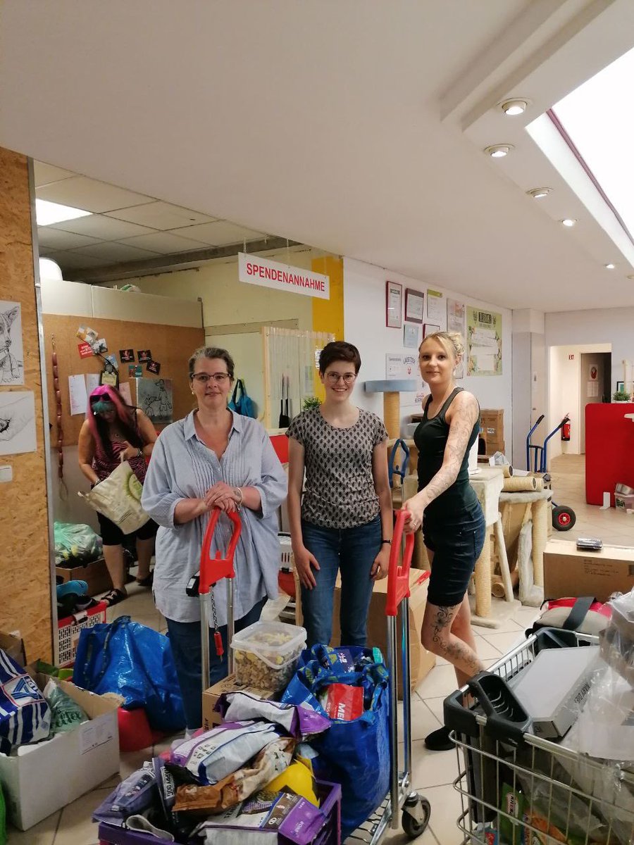 1892hilft's tweet photo. Parallel waren @Sarah_dvb und @KarolaKoppen erst bei der Berliner #Tiertafel. Dort haben wir ganz viel tolles für #Vierbeiner bekommen und danken sehr für die tolle #FutterSpende 💙🤍 #tierliebe https://t.co/pwvWOD53wS