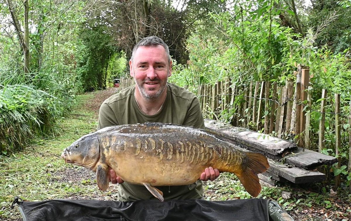 CherryCarp tweet media