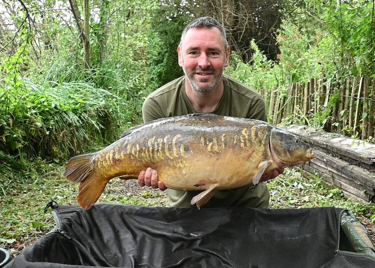 CherryCarp tweet media