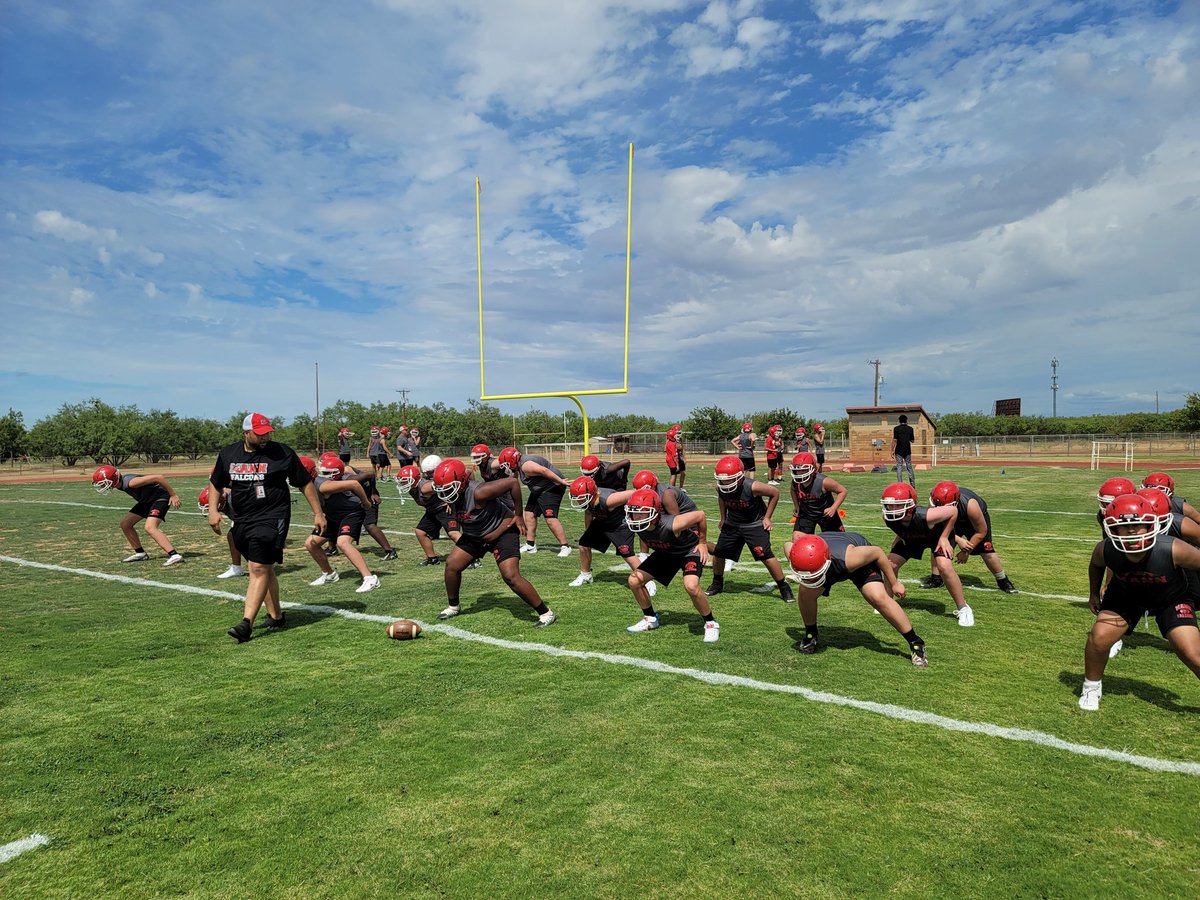 Mann Falcon Athletics tweet media