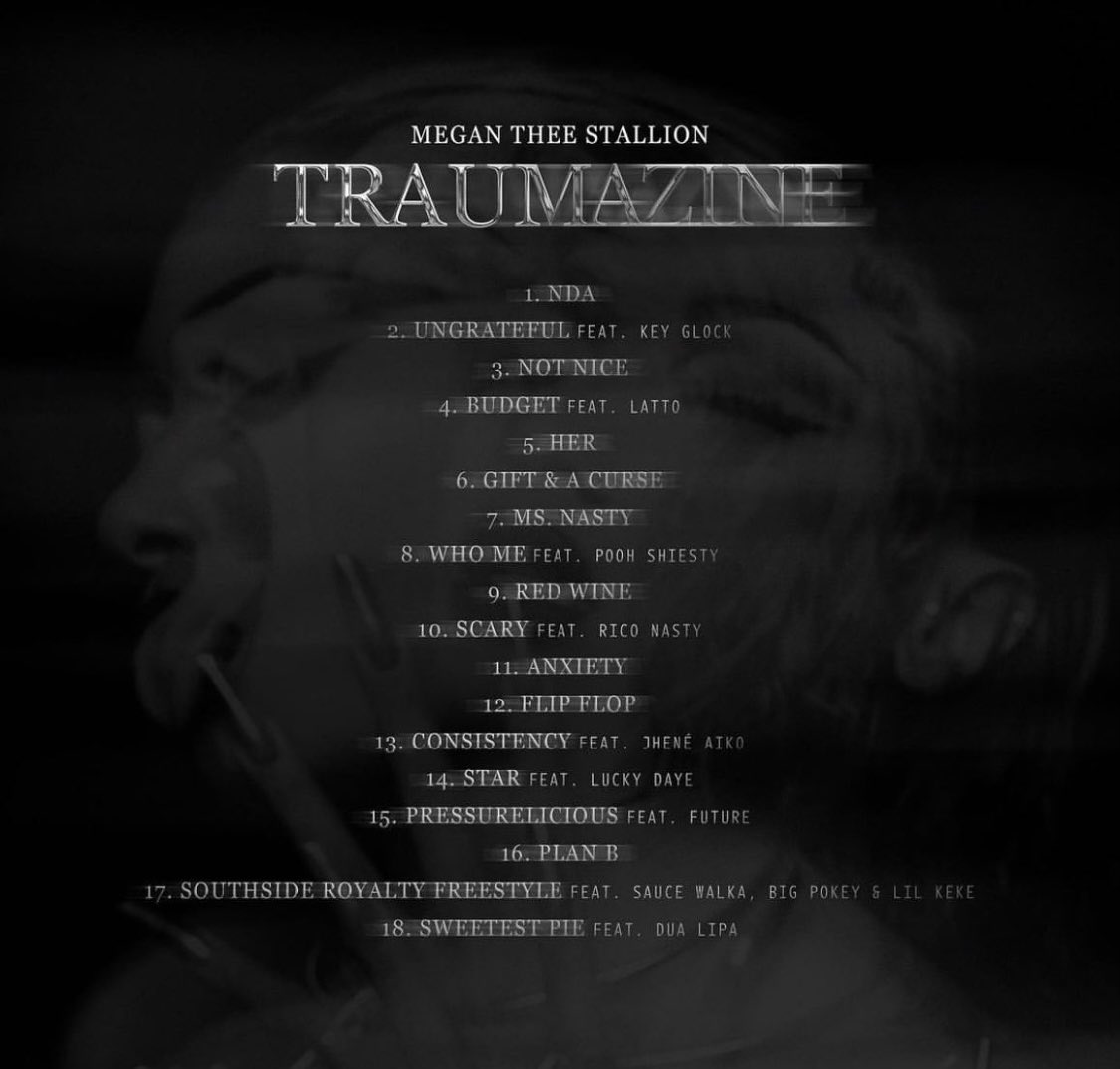 DaniStephensxn's tweet photo. It’s finally here! Go check out #RedWine and #MsNasty co-produced by Shawn "Source" Jarrett in collaboration with Bankroll Got It on Megan Thee Stallion new album #Traumazine Out Now!  Big thanks to 300 Entertainment for everything you do 🙌 🔥🔥🔥🚀 https://t.co/2CftNHoMbF