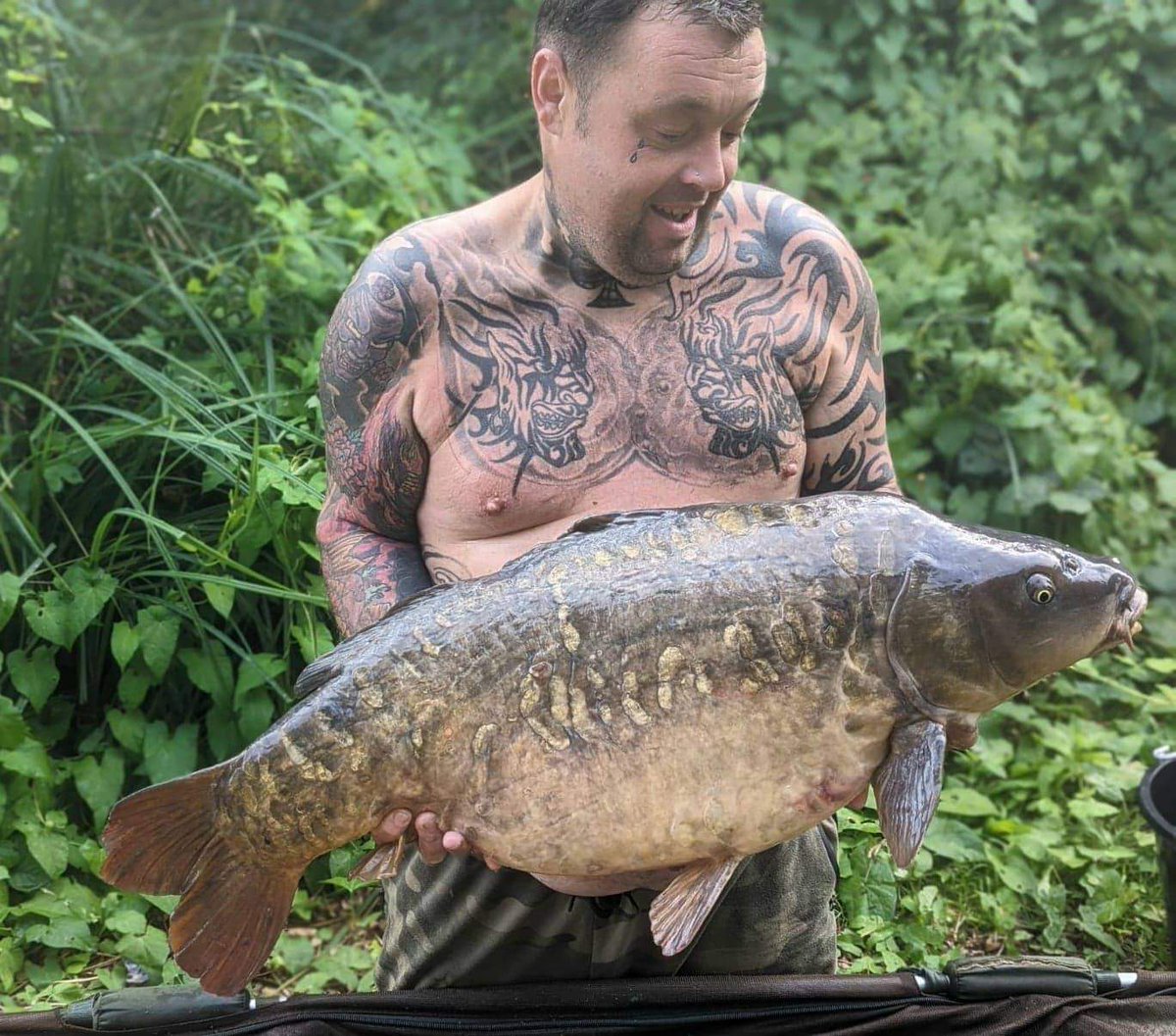 CherryCarp tweet media