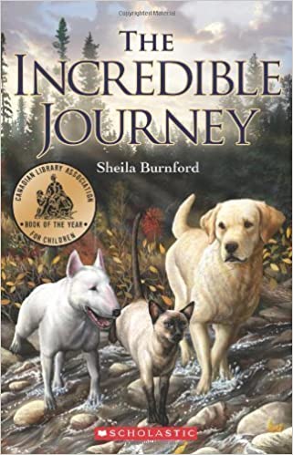 DanielAshley13's tweet photo. #AddASuperheroToABook The Incredible Hulk Journey https://t.co/5S8UmwYmgz
