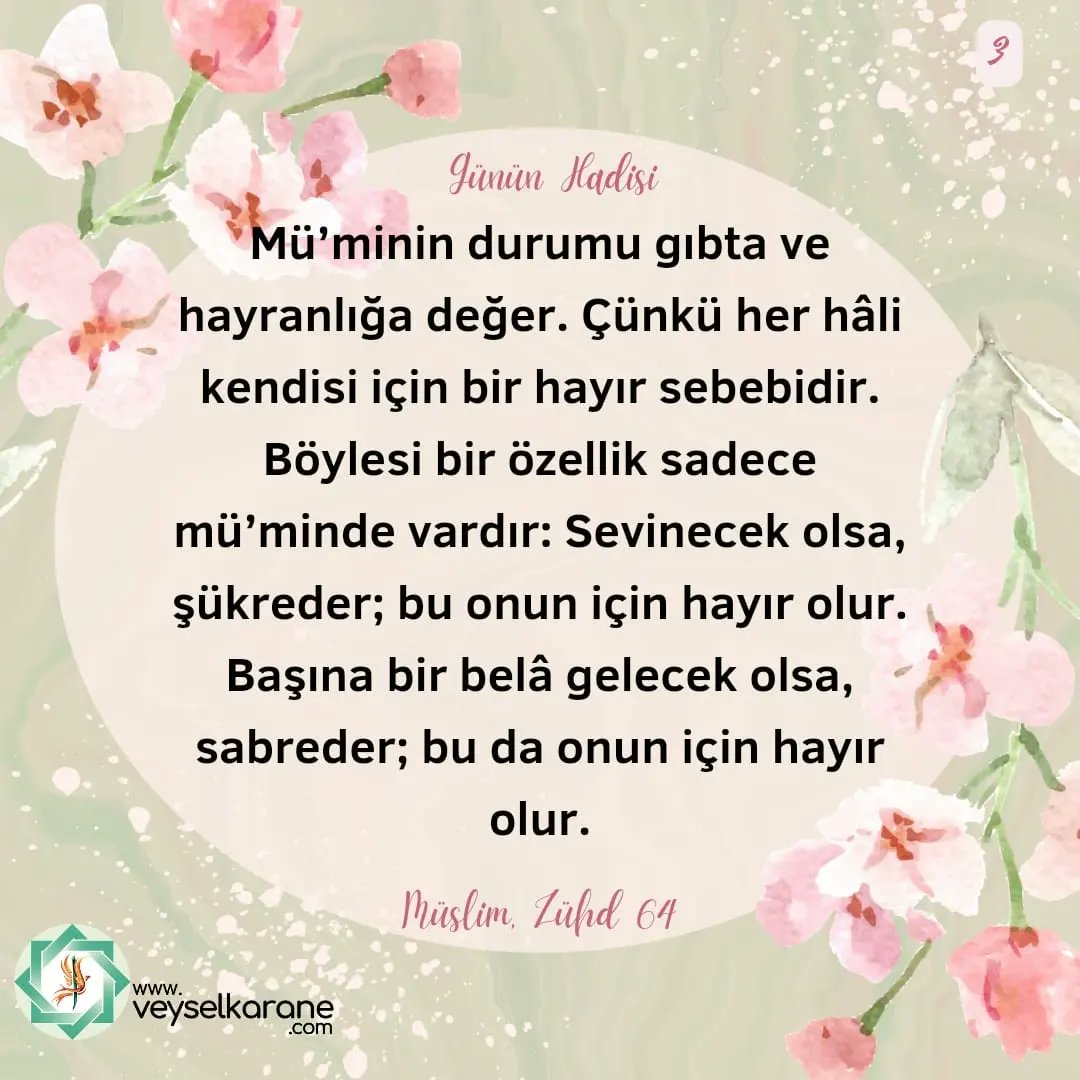 Seldae_66's tweet photo. Sabah akşam sadece on dakika süren Üveys Veysel Karane Zikri'ni yapın, yaşayın ve görün 🌹
#WhatsApp 
#hayirlicumalar https://t.co/JqHUsNwhWO