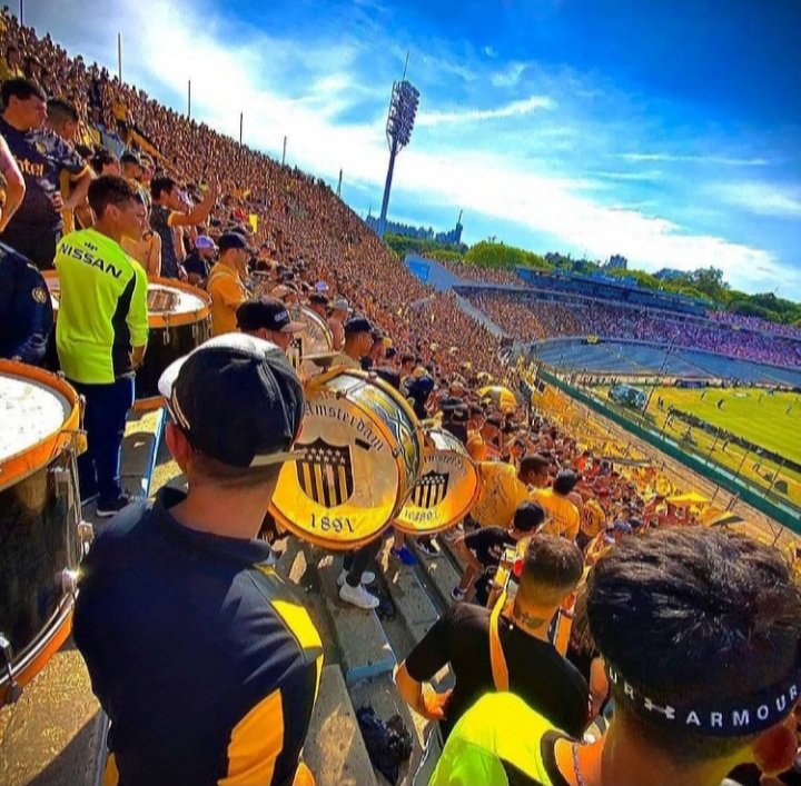 La vida es eso que pasa mientras esperas que llegue el domingo para ir al Centenario.