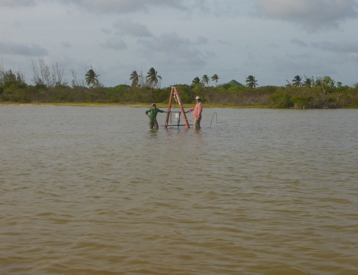 TsunamiSand's tweet photo. After several years of #trenching, #vibracoring makes new sediment archives available for our research.
So excited to see which new details will make the story of #tsunamis and #hurricanes on #Anegada #BVI even more complete.
#stratigraphy, #CTscanning, #corescanning https://t.co/yD7L6dWnrM