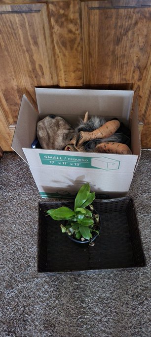 Packing up the cam room 💙 I'll stream again before we move. I'll let you know when soon.... https://t