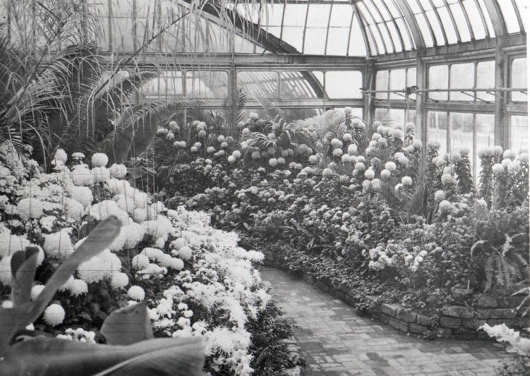 Indy Parks🌲 tweet media