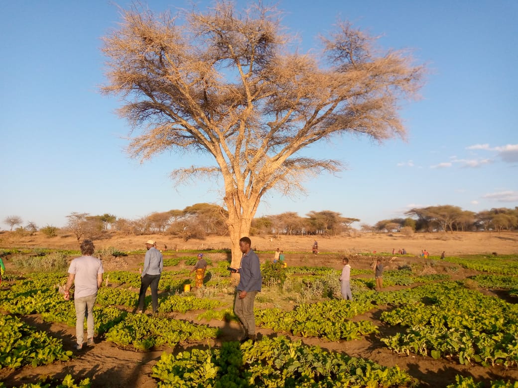 AFRICANSLABS's tweet photo. The team was proud to visit this brilliantly productive and attractive farm development project designed to empower local women and youth, made possible by the ward executive of Dirma in Hanang District.
https://t.co/ox4X00y89E
#Hanang #Dirma #farm #development #youth https://t.co/qrZYsjRbsY