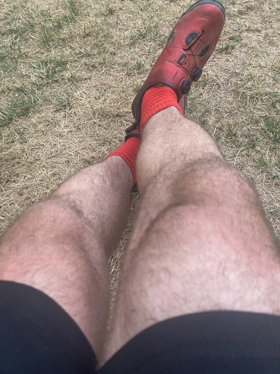 Massteacherguy's tweet photo. Rockin red socks with red shoes post bike ride and now there’s a cardinal singing VERY loudly overhead, I think Im getting eyed up🤣🤣🤣🤣🤣#toomuchRED https://t.co/wHc9n8f14t