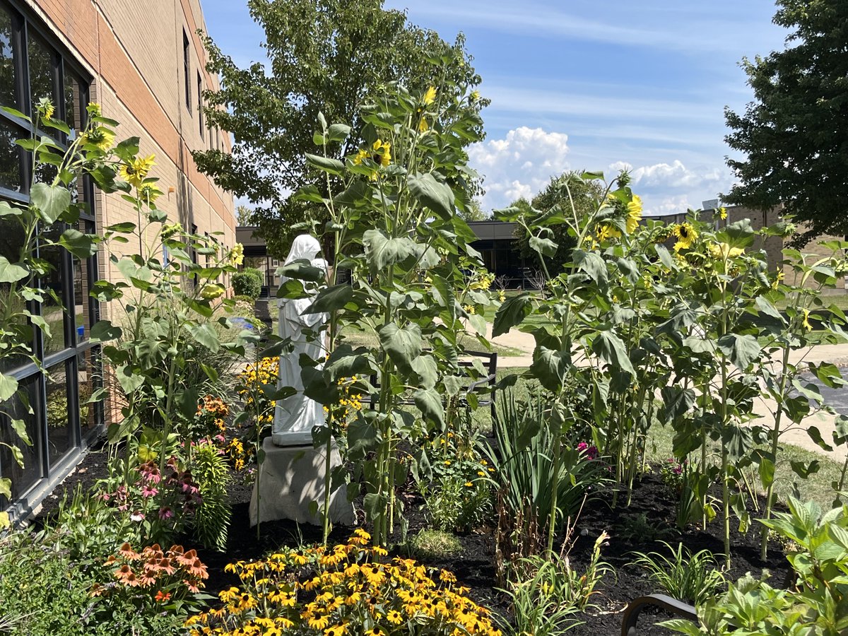 There's a #MaryGarden in there, honest.