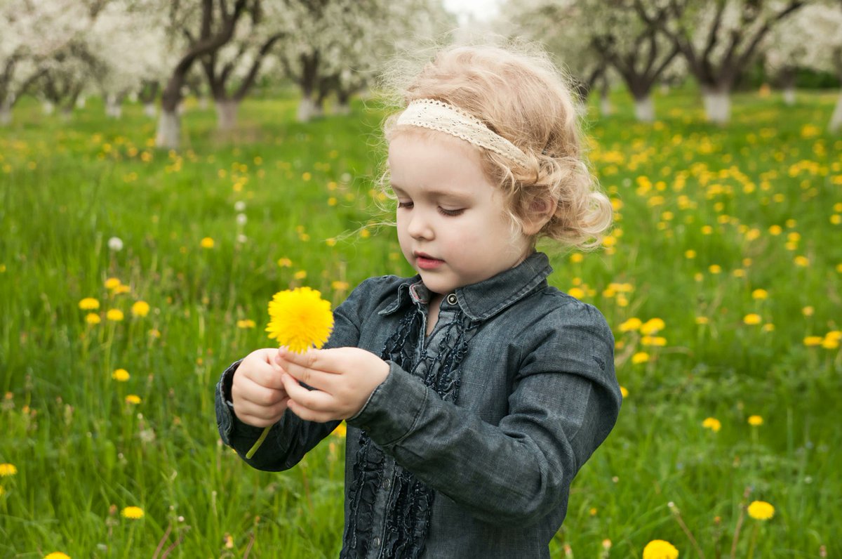 @CAPE-ACME tweet media