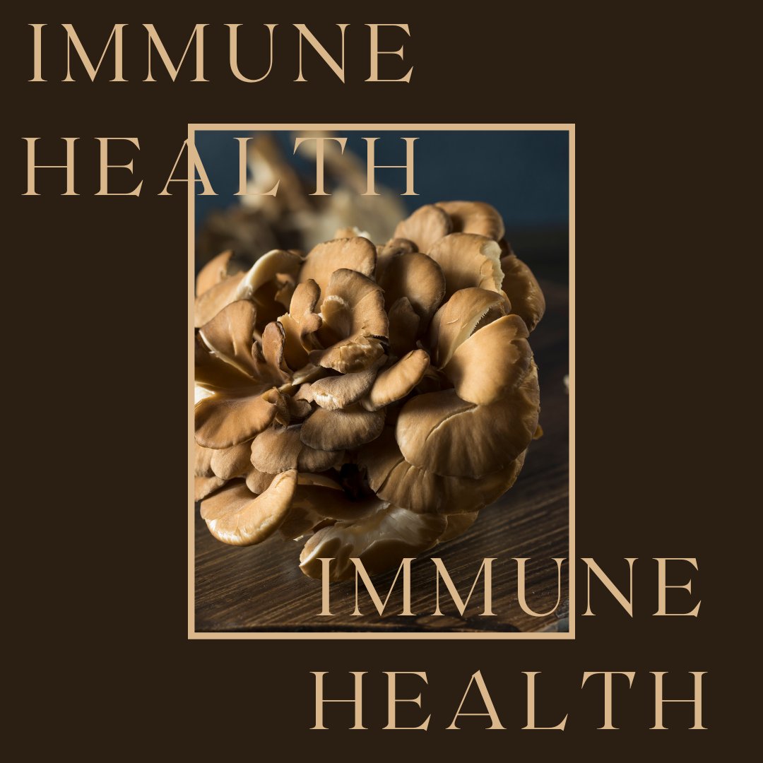 azmabiotech's tweet photo. Mushrooms again! These superfoods will help you fight against disease and obesity as much as any doctor could! Check out our immunity boosting product line here:
https://t.co/SqCdGDZVqg https://t.co/0DZhAzEM9Z