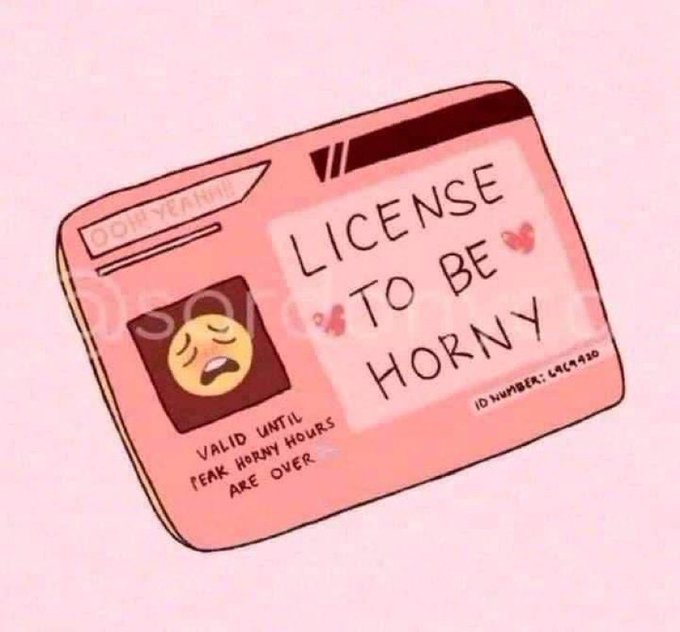 Finally got my license 😜 https://t.co/jXy8toPrqR