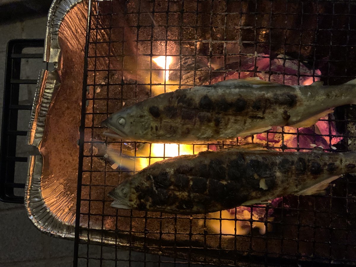 haniwachef's tweet photo. おはようございます

久しぶりのソロ、バーベキュー😁
ぷち贅沢な鮎の塩焼きにサーロインステーキ。

こんな時間が続きますように、、、

#ソロバーベキュー
#鮎塩焼き
#サーロイン
#夏を満喫 https://t.co/3vofIBfq4n