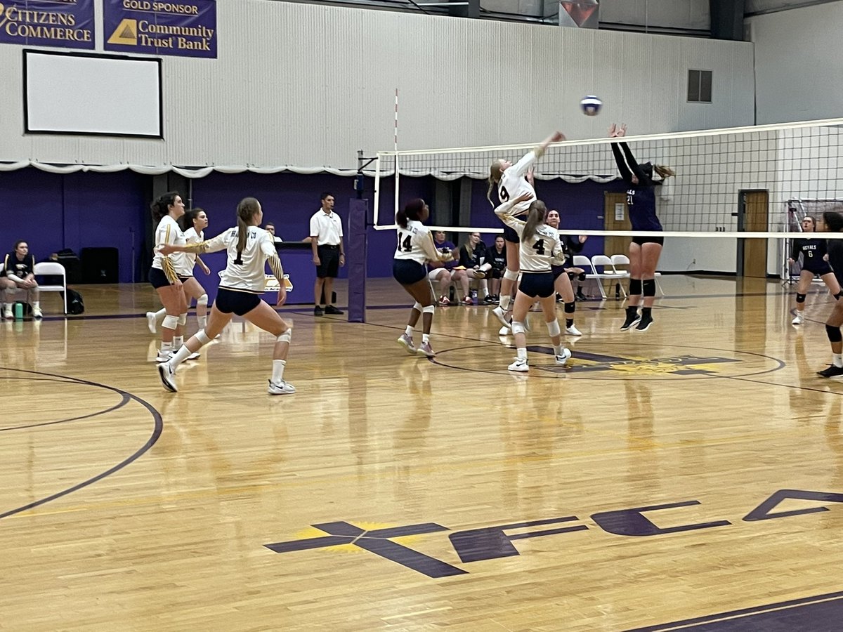 BIRD GANG tweet media