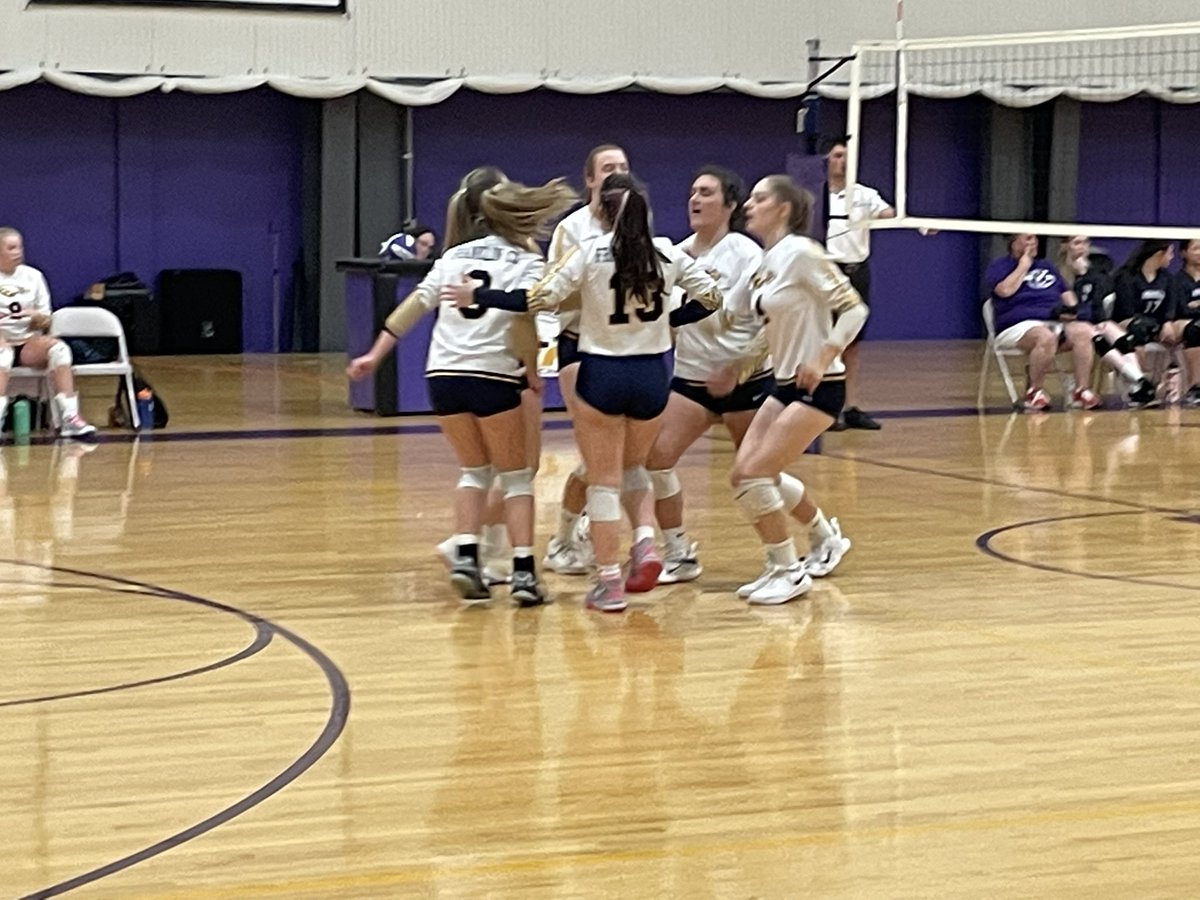 BIRD GANG tweet media