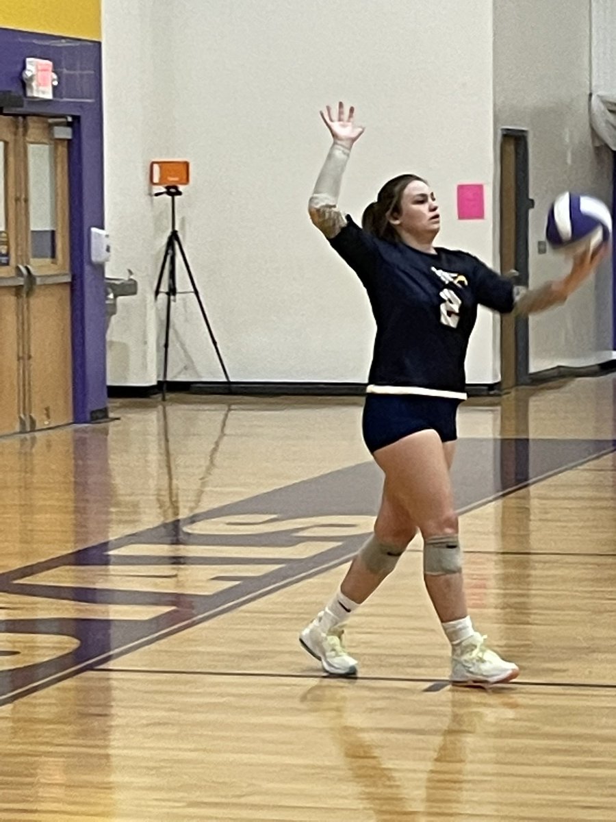 BIRD GANG tweet media