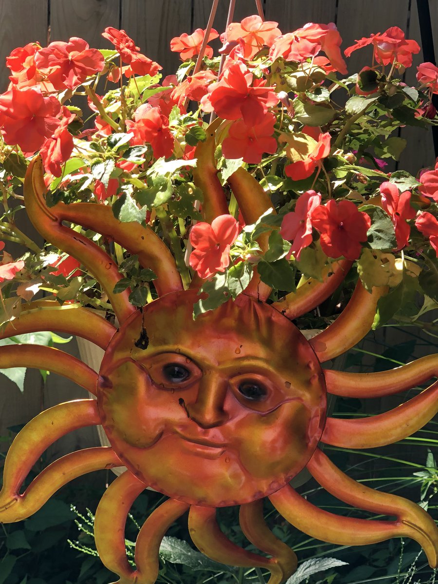 Mr Sunshine enjoys the day in #DavenportIowa