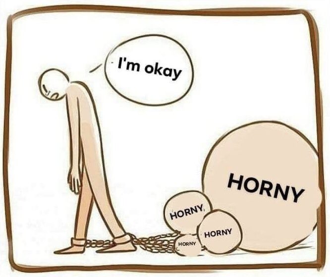 Nelson Canha (@ncpc22786) on Twitter photo 