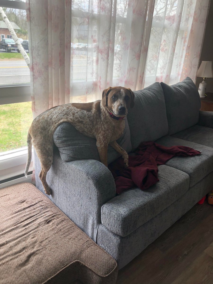 KimHarding5's tweet photo. @AlaneAdamsBooks Hi! I'm Nola Rae & my mommy knows that everyone sits comfortably in different ways. She really would love help with flexible seating! https://t.co/TCwoQXITSm #magicipad #B2SwithAlane #clearthelist #SpecialEducation 🐾 https://t.co/HJ75eKKZiW