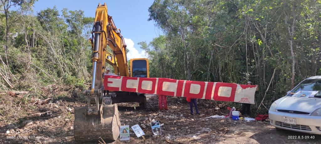 <a href="/PROFEPA_Mx/">PROFEPA</a> <a href="/El_Universal_Mx/">El Universal</a> <a href="/Milenio/">Milenio</a> <a href="/lajornadaonline/">La Jornada</a> @reformanacional <a href="/AristeguiOnline/">Aristegui Noticias</a> <a href="/ElFinanciero_Mx/">El Financiero</a> <a href="/eleconomista/">El Economista</a> <a href="/lasillarota/">La Silla Rota</a> <a href="/MVStvOficial/">MVStv</a> <a href="/sdpnoticias/">SDP Noticias</a> ¡Por fin! ¡Ahora les toca ir al tramo 5 sur en Akumal, Quintana Roo, porque ahí están talado muchos árboles hasta máquinas hay!
Espero que si vayan a verificar eso, porque al parecer no han querido darse cuenta.