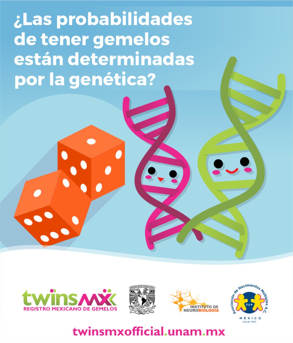 TwinsMXofficial's tweet photo. 🧬 ¿𝐐𝐮𝐢𝐞𝐫𝐞𝐬 𝐬𝐚𝐛𝐞𝐫 𝐬𝐢 𝐞𝐱𝐢𝐬𝐭𝐞𝐧 𝐟𝐚𝐜𝐭𝐨𝐫𝐞𝐬 𝐪𝐮𝐞 𝐢𝐧𝐟𝐥𝐮𝐲𝐚𝐧 𝐞𝐧 𝐥𝐚 𝐩𝐫𝐨𝐛𝐚𝐛𝐢𝐥𝐢𝐝𝐚𝐝 𝐝𝐞 𝐜𝐨𝐧𝐜𝐞𝐛𝐢𝐫 𝐠𝐞𝐦𝐞𝐥𝐨𝐬? 🧒🧒
Descúbrelo en nuestra #NotaMensual 😄👇
https://t.co/mzyIX7e8Yz
.
.
#mellizas #twinsisters #TwinsBro #ciencia https://t.co/bUkbuioyEf