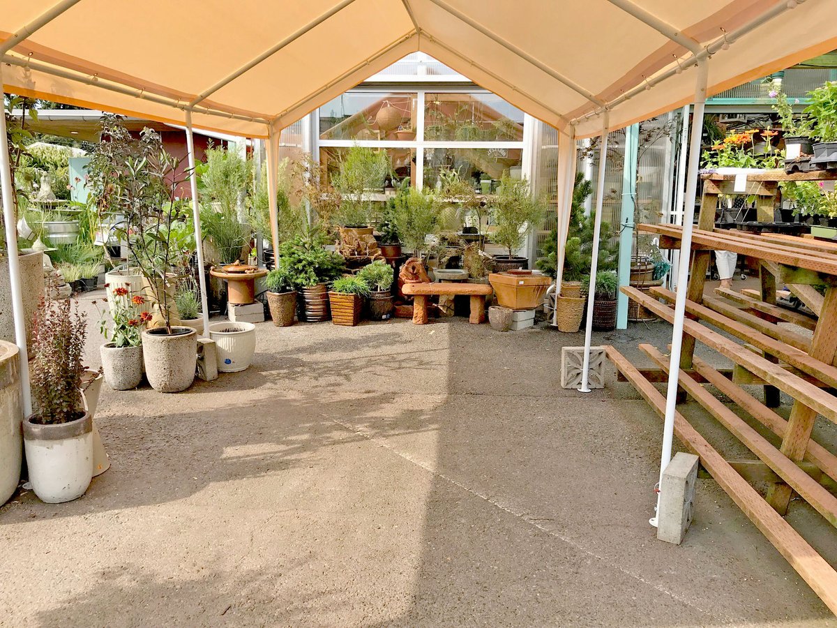 West Seattle Nursery tweet media