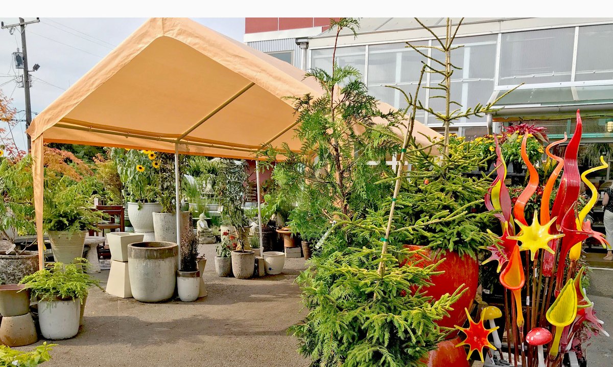 West Seattle Nursery tweet media