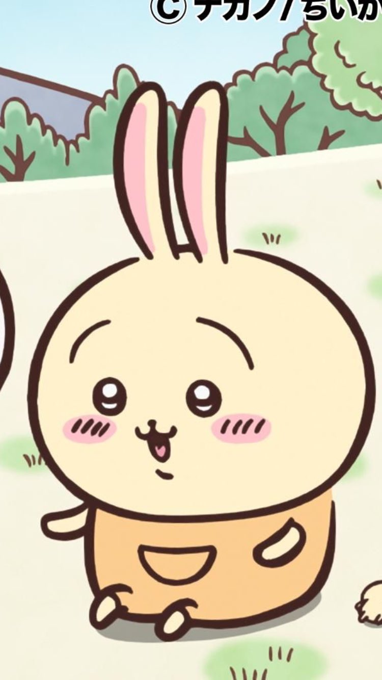 うさぎちゃん Twitter Search Twitter
