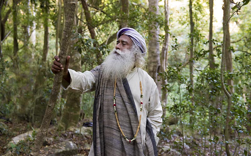 SadhguruJV's tweet photo. Once you experience all life forms as part of yourself, no one has to tell you to conserve nature. Anyway, you will take care. #SadhguruQuotes #WorldNatureConservationDay https://t.co/fmAwIEJrak