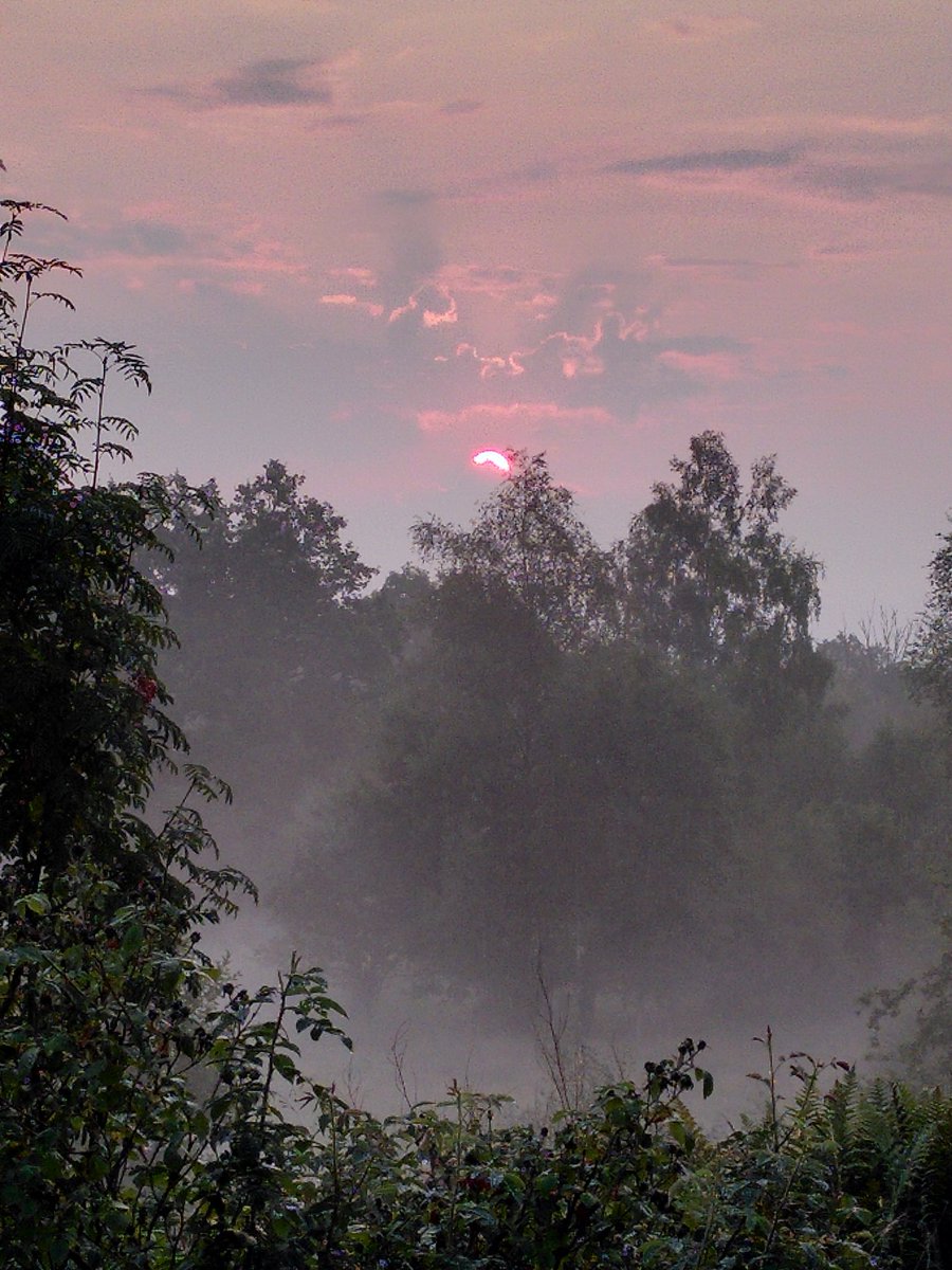 carolineskantze's tweet photo. Morning has risen...#dagg https://t.co/X1vfZI9wPQ