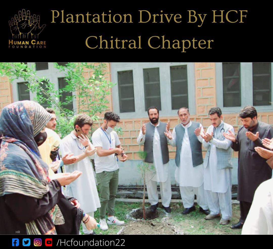 HCFoundation22's tweet photo. شجرکاری مہم DHQ ہسپتال لوئر چترال
"درخت لگائیں، زندگی بچائیں" کے مفید مقصد کے ساتھ، ہیومن کیئر فاؤنڈیشن نے ڈی ایچ کیو ہسپتال لوئر چترال میں ایم ایس ڈی ایچ کیو ہسپتال اور ڈی ایف او کی زیر نگرانی ایک شاندار تقریب، شجر کاری مہم کا انعقاد کیا
#hcf @dhq #hospital #chitral #planatation https://t.co/4zFAWKPvK1