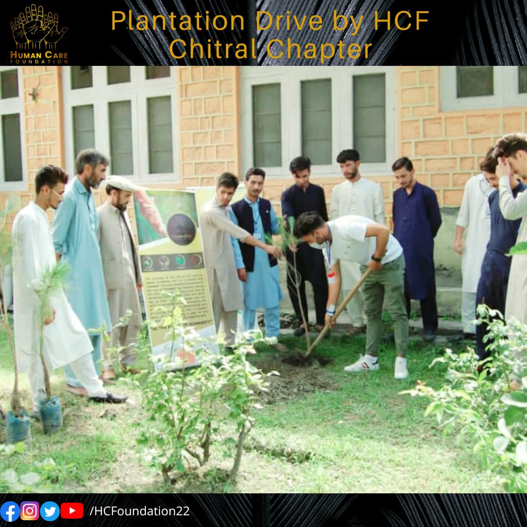 HCFoundation22's tweet photo. شجرکاری مہم DHQ ہسپتال لوئر چترال
"درخت لگائیں، زندگی بچائیں" کے مفید مقصد کے ساتھ، ہیومن کیئر فاؤنڈیشن نے ڈی ایچ کیو ہسپتال لوئر چترال میں ایم ایس ڈی ایچ کیو ہسپتال اور ڈی ایف او کی زیر نگرانی ایک شاندار تقریب، شجر کاری مہم کا انعقاد کیا
#hcf @dhq #hospital #chitral #planatation https://t.co/4zFAWKPvK1