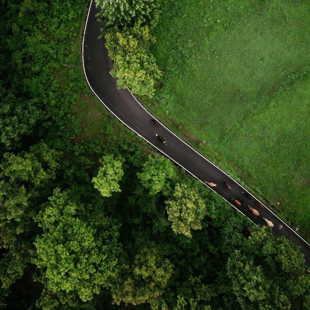 UTDBofficial's tweet photo. #Maldevta is a serene, sublime corner of #Dehradun, #flanked by dense #greenery, with #River Song alongside. In the #monsoons, these views become even more #magical, with the #greens becoming even greener. These photos were taken in July, 2022.

Credit IG: @sumerubahuguna https://t.co/moBoTlJsC7