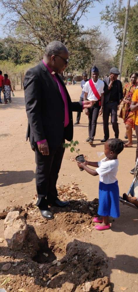 Green Anglicans tweet media