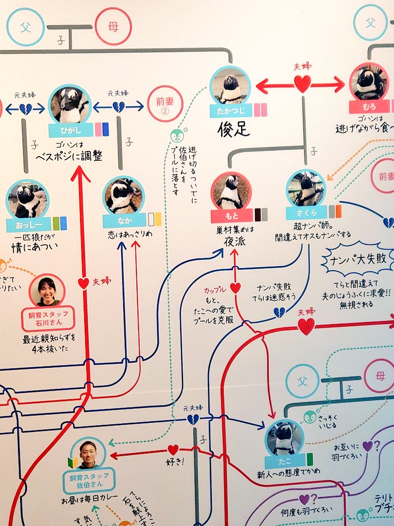 ペンギンの社会性、人間のそれと大差ないわね 