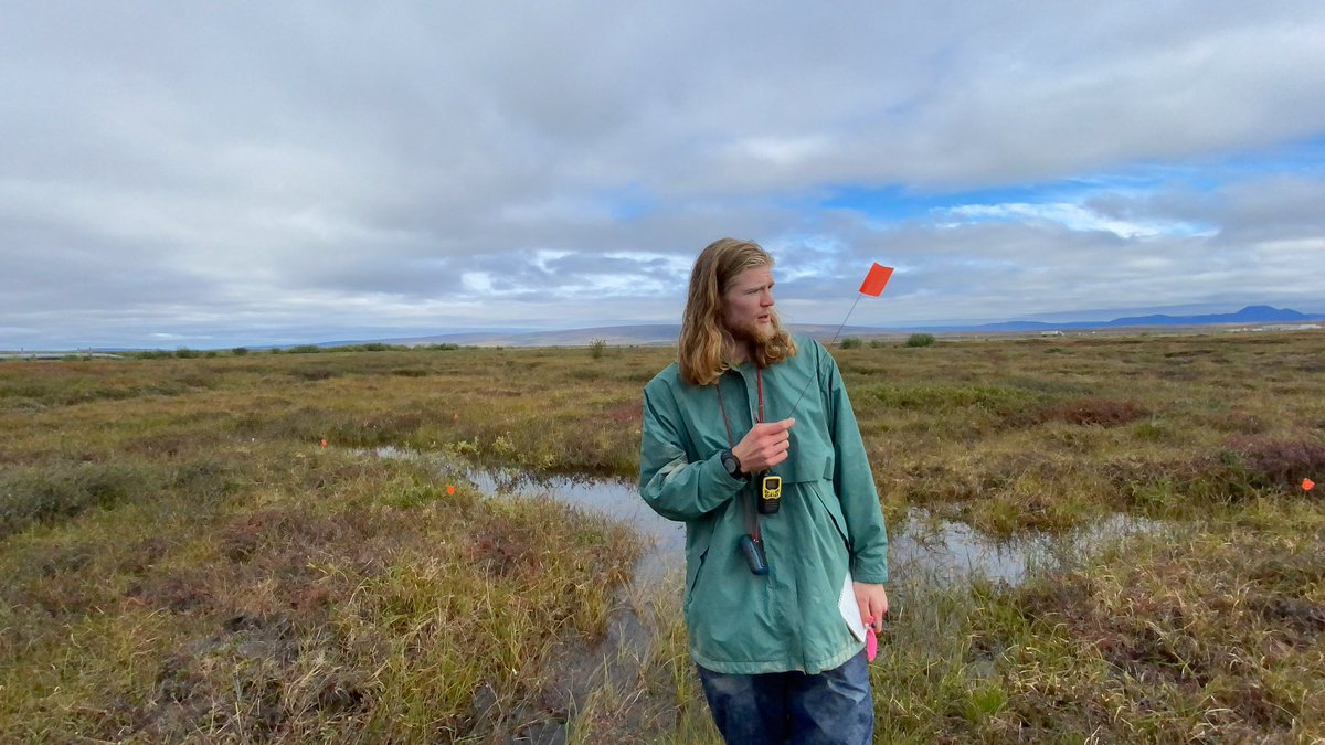 IGEA_UMASS's tweet photo. 2nd day out in the field! Today we looked at TP14. Had some trouble finding points in the tundra but we worked on it and have a better plan for tomorrow. We then went to Ellie’s sites so she could take samples and start planning taking out the sensors. https://t.co/bJM6S2VGZx