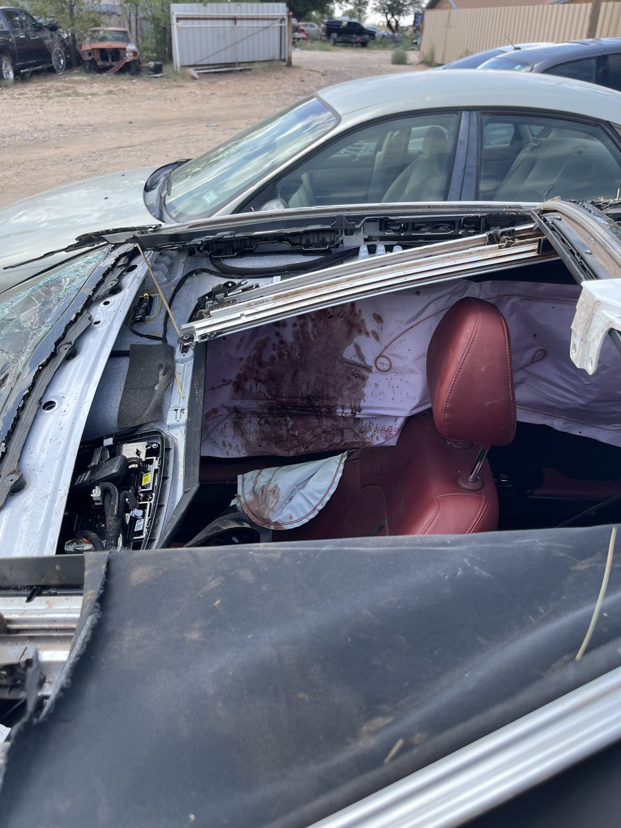 macaela rose.🤍 tweet media