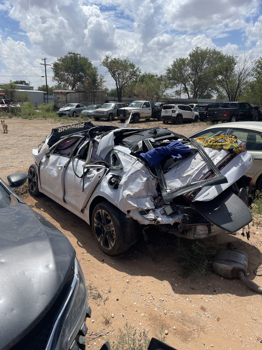 macaela rose.🤍 tweet media