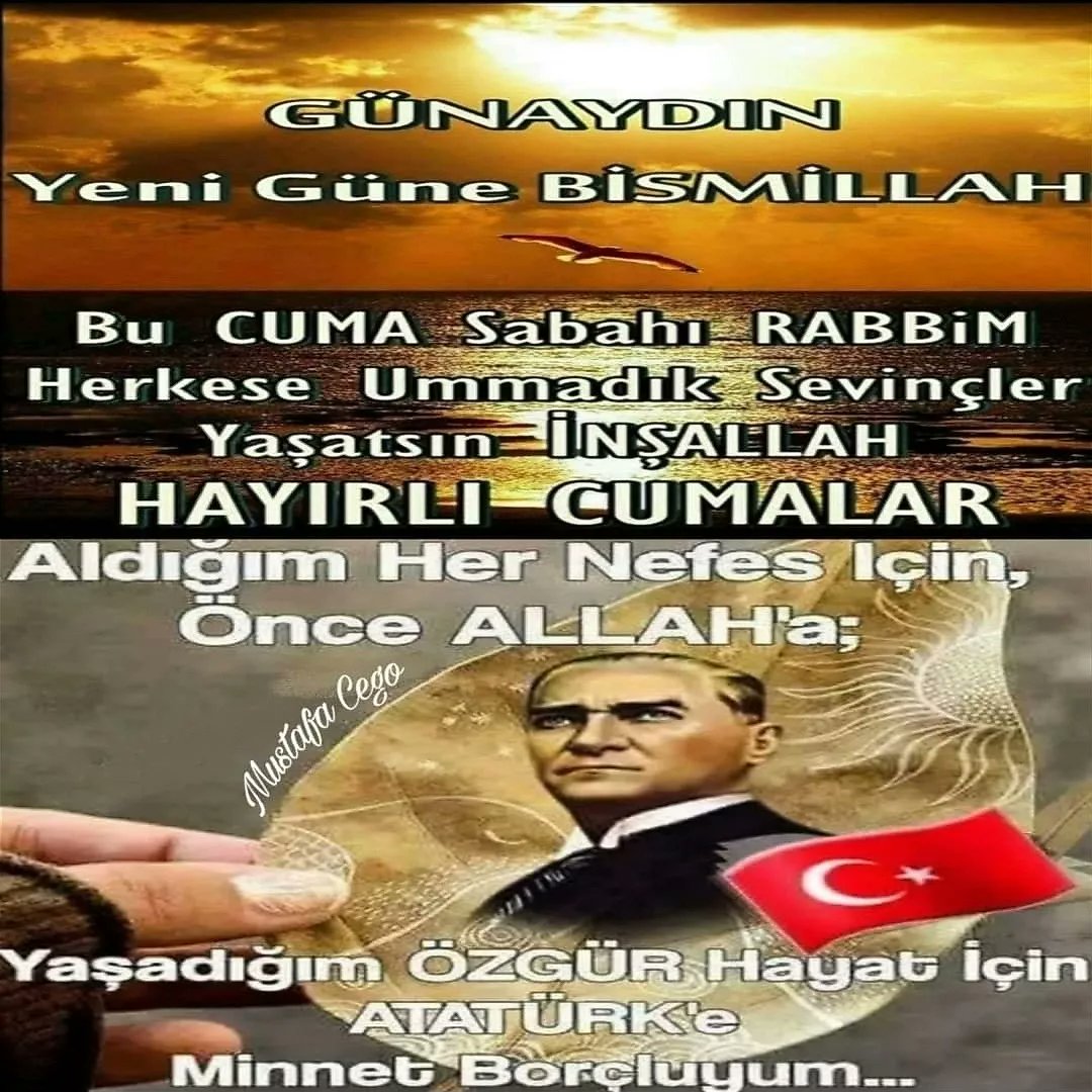 MustafaCego2's tweet image. 