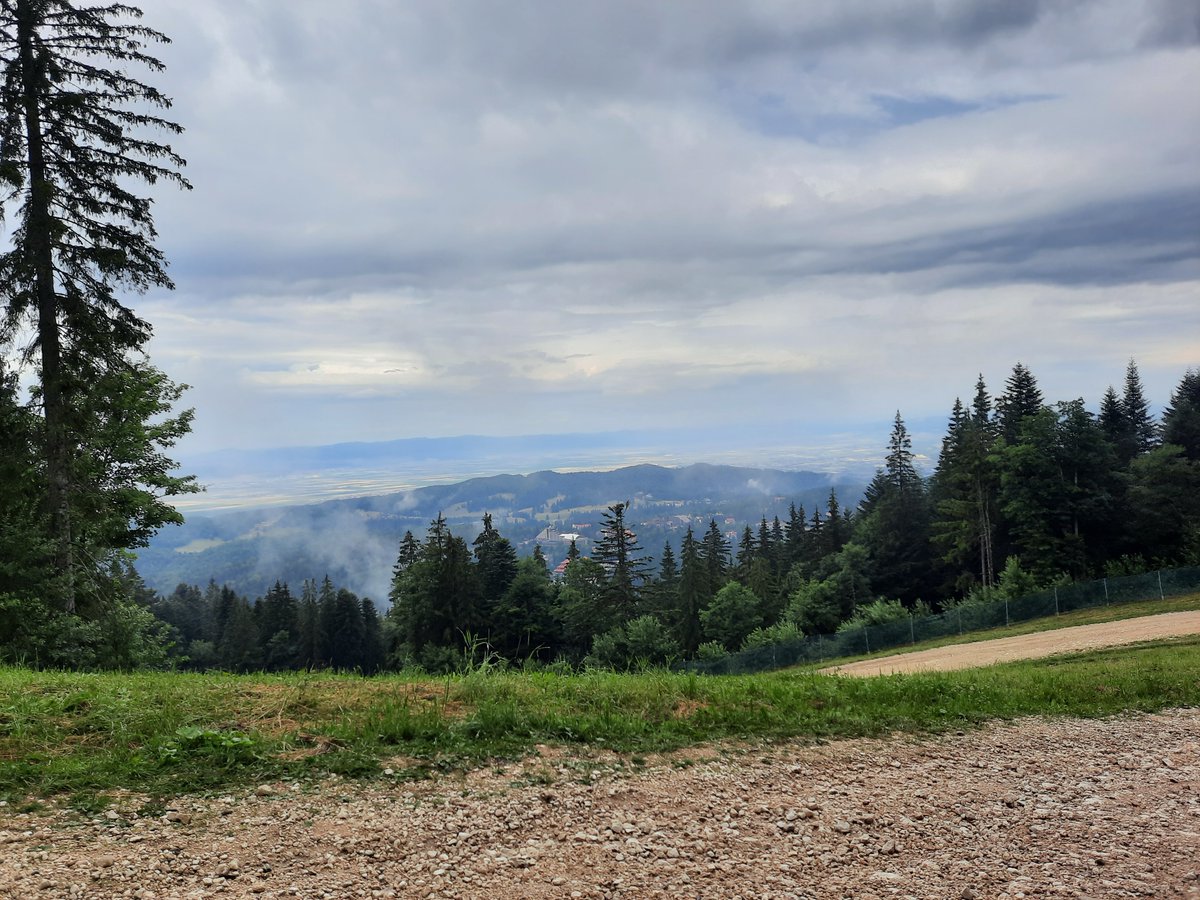 cryptomatics.eth tweet media