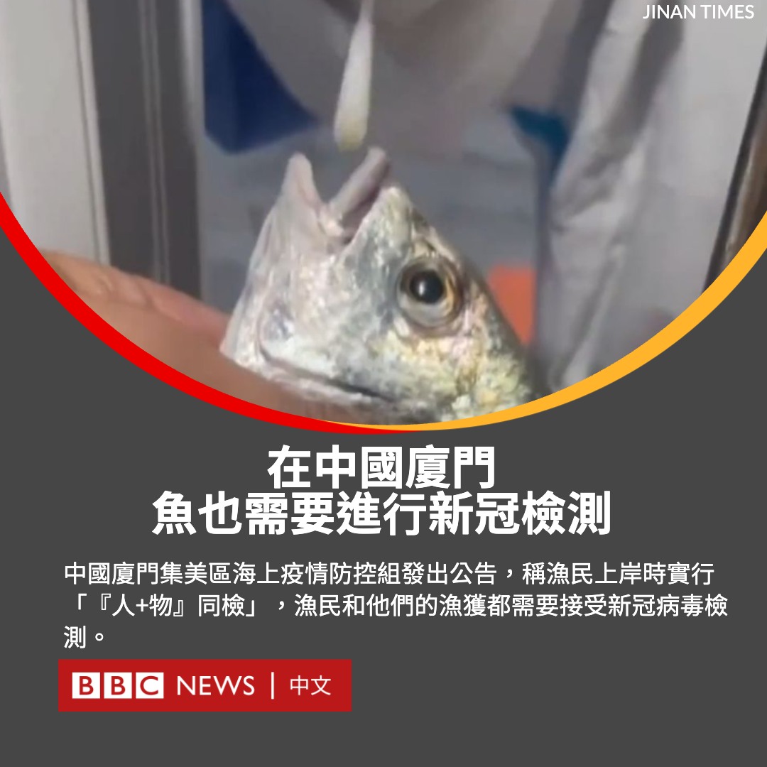 bbcchinese's tweet photo. 中国福建厦门近日发现了数十宗新冠病例，当局表示，为“严防海上疫情输入”，鱼也需要做核酸。

一段在网络上广为流传的影片显示，身穿白色防护服的工作人员将采样拭子插入一只鱼的嘴巴中。还有片段显示，螃蟹也接受了检测。

中国专家对媒体表示，至今还没有证据证明鱼会感染新冠病毒。 https://t.co/R4hCtNWqlI
